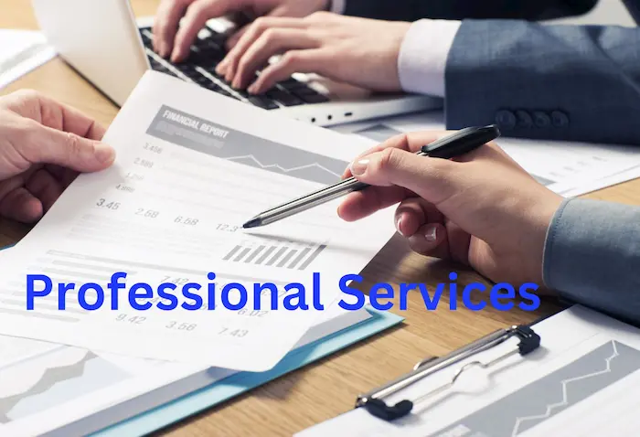 Figure 3- Professional Services